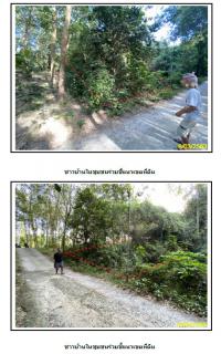 https://wap.ohoproperty.com/1401/ธนาคารกรุงไทย/ขายที่ดินเปล่า/หน้าเมือง/เกาะสมุย/สุราษฎร์ธานี/