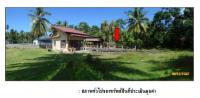https://wap.ohoproperty.com/1394/ธนาคารกรุงไทย/ขายที่ดินพร้อมสิ่งปลูกสร้าง/ตลิ่งงาม/เกาะสมุย/สุราษฎร์ธานี/