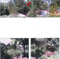 https://wap.ohoproperty.com/2856/ธนาคารกรุงไทย/ขายที่ดินเปล่า/หย่วน/เชียงคำ/พะเยา/