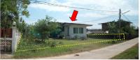 https://wap.ohoproperty.com/2714/ธนาคารกรุงไทย/ขายบ้านเดี่ยว/รอบเมือง/เมืองร้อยเอ็ด/ร้อยเอ็ด/