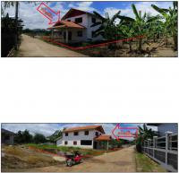 https://wap.ohoproperty.com/542/ธนาคารกรุงไทย/ขายบ้านเดี่ยว/แม่กุ/แม่สอด/ตาก/