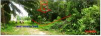 https://wap.ohoproperty.com/2514/ธนาคารกรุงไทย/ขายที่ดินเปล่า/เหนือคลอง/เหนือคลอง/กระบี่/