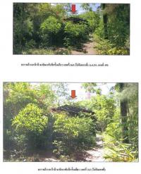 https://wap.ohoproperty.com/65420/ธนาคารกรุงไทย/ขายที่ดินพร้อมสิ่งปลูกสร้าง/ท่าทอง/กาญจนดิษฐ์/สุราษฎร์ธานี/