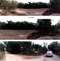 https://wap.ohoproperty.com/86406/ธนาคารกรุงไทย/ขายที่ดินเปล่า/สุมเส้า/เพ็ญ/อุดรธานี/