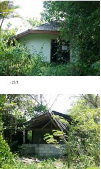 https://wap.ohoproperty.com/73781/ธนาคารกรุงไทย/ขายที่ดินพร้อมสิ่งปลูกสร้าง/หนองหงส์/ทุ่งสง/นครศรีธรรมราช/