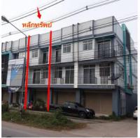 https://wap.ohoproperty.com/166242/ธนาคารกรุงไทย/ขายอาคารพาณิชย์/หนองภัยศูนย์/เมืองหนองบัวลำภู/หนองบัวลำภู/