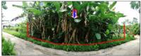 https://wap.ohoproperty.com/210043/ธนาคารออมสิน/ขายที่ดิน/วังตะกอ/หลังสวน/ชุมพร/