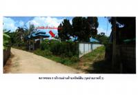 https://wap.ohoproperty.com/167744/ธนาคารออมสิน/ขายที่ดินพร้อมสิ่งปลูกสร้าง/จอมหมอกแก้ว/แม่ลาว/เชียงราย/