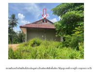 https://wap.ohoproperty.com/194183/ธนาคารออมสิน/ขายที่ดินพร้อมสิ่งปลูกสร้าง/ห้วยน้ำขาว/คลองท่อม/กระบี่/