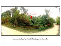https://wap.ohoproperty.com/209983/ธนาคารออมสิน/ขายที่ดิน/เหนือคลอง/เหนือคลอง/กระบี่/