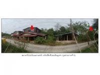 https://wap.ohoproperty.com/195911/ธนาคารออมสิน/ขายที่ดินพร้อมสิ่งปลูกสร้าง/ศรีสองรัก/เมืองเลย/เลย/