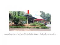https://wap.ohoproperty.com/204149/ธนาคารออมสิน/ขายที่ดินพร้อมสิ่งปลูกสร้าง/ทรายขาว/วังสะพุง/เลย/