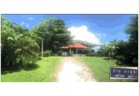 https://wap.ohoproperty.com/163109/ธนาคารออมสิน/ขายที่ดินพร้อมสิ่งปลูกสร้าง/เมือง/เมืองเลย/เลย/