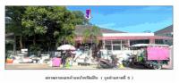 https://wap.ohoproperty.com/178597/ธนาคารออมสิน/ขายที่ดินพร้อมสิ่งปลูกสร้าง/ท่าซัก/เมืองนครศรีธรรมราช/นครศรีธรรมราช/