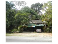 https://wap.ohoproperty.com/161675/ธนาคารออมสิน/ขายที่ดินพร้อมสิ่งปลูกสร้าง/โต๊ะเด็ง/สุไหงปาดี/นราธิวาส/