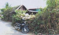 https://wap.ohoproperty.com/166945/ธนาคารอาคารสงเคราะห์/ขายบ้านเดี่ยว/ชมพู/เมืองลำปาง/ลำปาง/