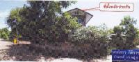 https://wap.ohoproperty.com/140439/ธนาคารอาคารสงเคราะห์/ขายบ้านเดี่ยว/นาม่วง/ประจักษ์ศิลปาคม/อุดรธานี/