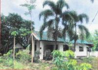 https://wap.ohoproperty.com/143639/ธนาคารอาคารสงเคราะห์/ขายบ้านเดี่ยว/อุโมงค์/เมืองลำพูน/ลำพูน/