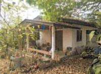 https://wap.ohoproperty.com/193205/ธนาคารอาคารสงเคราะห์/ขายบ้านเดี่ยว/กล้วยแพะ/เมืองลำปาง/ลำปาง/