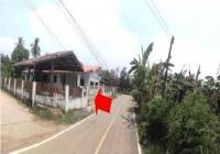 https://wap.ohoproperty.com/193480/ธนาคารอาคารสงเคราะห์/ขายบ้านเดี่ยว/โพธิ์ชัย/เมืองหนองบัวลำภู/หนองบัวลำภู/