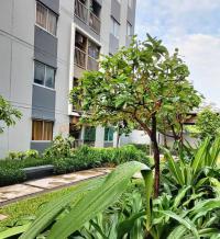 https://wap.ohoproperty.com/212609/ธนาคารอาคารสงเคราะห์/ขายคอนโด/รังสิต/ธัญบุรี/ปทุมธานี/