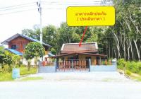https://wap.ohoproperty.com/217111/ธนาคารอาคารสงเคราะห์/ขายบ้านเดี่ยว/หลักช้าง//นครศรีธรรมราช/