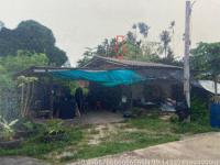 https://wap.ohoproperty.com/219939/ธนาคารอาคารสงเคราะห์/ขายบ้านเดี่ยว/วังไผ่/เมืองชุมพร/ชุมพร/