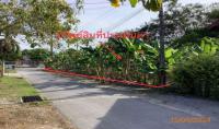 https://wap.ohoproperty.com/204945/ธนาคารกสิกรไทย/ขายที่ดินว่างเปล่า/โพธิ์เสด็จ/เมืองนครศรีธรรมราช/นครศรีธรรมราช/