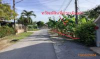 https://wap.ohoproperty.com/204916/ธนาคารกสิกรไทย/ขายที่ดินว่างเปล่า/โพธิ์เสด็จ/เมืองนครศรีธรรมราช/นครศรีธรรมราช/