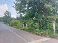 https://wap.ohoproperty.com/219748/ธนาคารกสิกรไทย/ขายที่ดินว่างเปล่า/หนองแวง/เมืองร้อยเอ็ด/ร้อยเอ็ด/