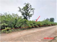 https://wap.ohoproperty.com/158558/ธนาคารกสิกรไทย/ขายที่ดินว่างเปล่า/กล้วยแพะ/เมืองลำปาง/ลำปาง/