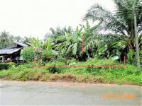 https://wap.ohoproperty.com/151896/ธนาคารกสิกรไทย/ขายที่ดินว่างเปล่า/คลองท่อมใต้/คลองท่อม/กระบี่/
