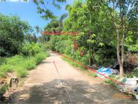 https://wap.ohoproperty.com/157153/ธนาคารกสิกรไทย/ขายที่ดินว่างเปล่า/ลิปะน้อย/เกาะสมุย/สุราษฎร์ธานี/