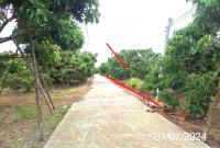https://wap.ohoproperty.com/156003/ธนาคารกสิกรไทย/ขายที่ดินว่างเปล่า/หนองล่อง/เวียงหนองล่อง/ลำพูน/