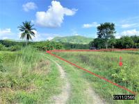 https://wap.ohoproperty.com/171387/ธนาคารกสิกรไทย/ขายที่ดินว่างเปล่า/อาฮี/ท่าลี่/เลย/