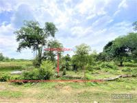 https://wap.ohoproperty.com/180928/ธนาคารกสิกรไทย/ขายที่ดินว่างเปล่า/ควนลัง/หาดใหญ่/สงขลา/