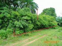 https://wap.ohoproperty.com/190465/ธนาคารกสิกรไทย/ขายที่ดินว่างเปล่า/ทรายขาว/คลองท่อม/กระบี่/