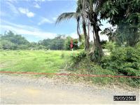 https://wap.ohoproperty.com/199773/ธนาคารกสิกรไทย/ขายที่ดินว่างเปล่า/หนองบัว/โกสุมพิสัย/มหาสารคาม/