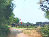 https://wap.ohoproperty.com/205049/ธนาคารกสิกรไทย/ขายที่ดินว่างเปล่า/เอกราช/ป่าโมก/อ่างทอง/