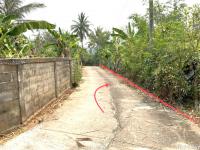 https://wap.ohoproperty.com/206811/ธนาคารกสิกรไทย/ขายที่ดินว่างเปล่า/สันทราย/แม่จัน/เชียงราย/
