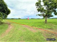 https://wap.ohoproperty.com/212491/ธนาคารกสิกรไทย/ขายที่ดินว่างเปล่า/หัวขวาง/โกสุมพิสัย/มหาสารคาม/