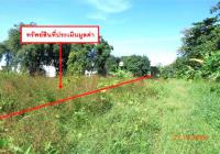 https://wap.ohoproperty.com/212542/ธนาคารกสิกรไทย/ขายที่ดินว่างเปล่า/คลองขลุง/คลองขลุง/กำแพงเพชร/