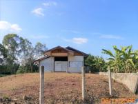 https://wap.ohoproperty.com/157596/ธนาคารกสิกรไทย/ขายบ้านเดี่ยว/หนองตูม/ภูเขียว/ชัยภูมิ/