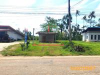 บ้านเดี่ยวหลุดจำนอง ธ.ธนาคารกสิกรไทย พรุเตียว เขาพนม กระบี่