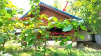 บ้านเดี่ยวหลุดจำนอง ธ.ธนาคารกสิกรไทย ห้วยอ้อ ลอง แพร่