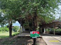 https://wap.ohoproperty.com/155686/ธนาคารกสิกรไทย/ขายบ้านเดี่ยว/เมืองเดช/เดชอุดม/อุบลราชธานี/