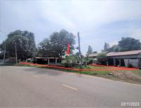 https://wap.ohoproperty.com/156109/ธนาคารกสิกรไทย/ขายบ้านเดี่ยว/สีออ/กุมภวาปี/อุดรธานี/