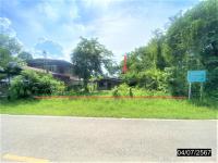 https://wap.ohoproperty.com/157492/ธนาคารกสิกรไทย/ขายบ้านเดี่ยว/เมืองใหม่/ศรีบุญเรือง/หนองบัวลำภู/