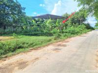 https://wap.ohoproperty.com/156065/ธนาคารกสิกรไทย/ขายบ้านเดี่ยว/ทุ่งลูกนก/กำแพงแสน/นครปฐม/