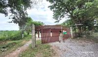 https://wap.ohoproperty.com/160541/ธนาคารกสิกรไทย/ขายบ้านเดี่ยว/โนนสะอาด/ศรีบุญเรือง/หนองบัวลำภู/